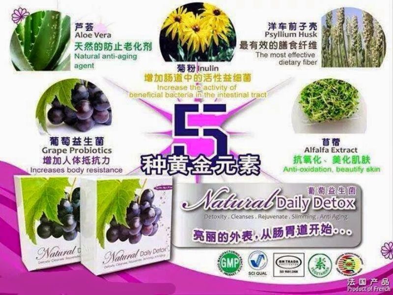 葡萄益生菌排毒 * 法国配方益生菌排毒 (15包 x10g X 1盒)                 Grape probiotics * Natural French recipe Daily Detox (15 pack x10g X 1 box)